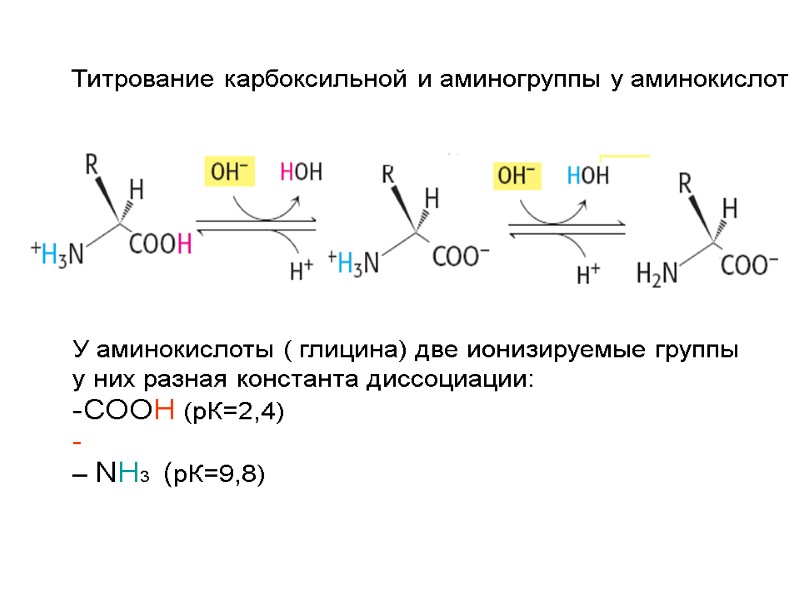 Титрование карбоксильной и аминогруппы у аминокислот У аминокислоты ( глицина) две ионизируемые группы у
